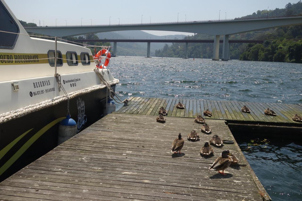 מלון Marco de Canavezes Douro Houseboats מראה חיצוני תמונה